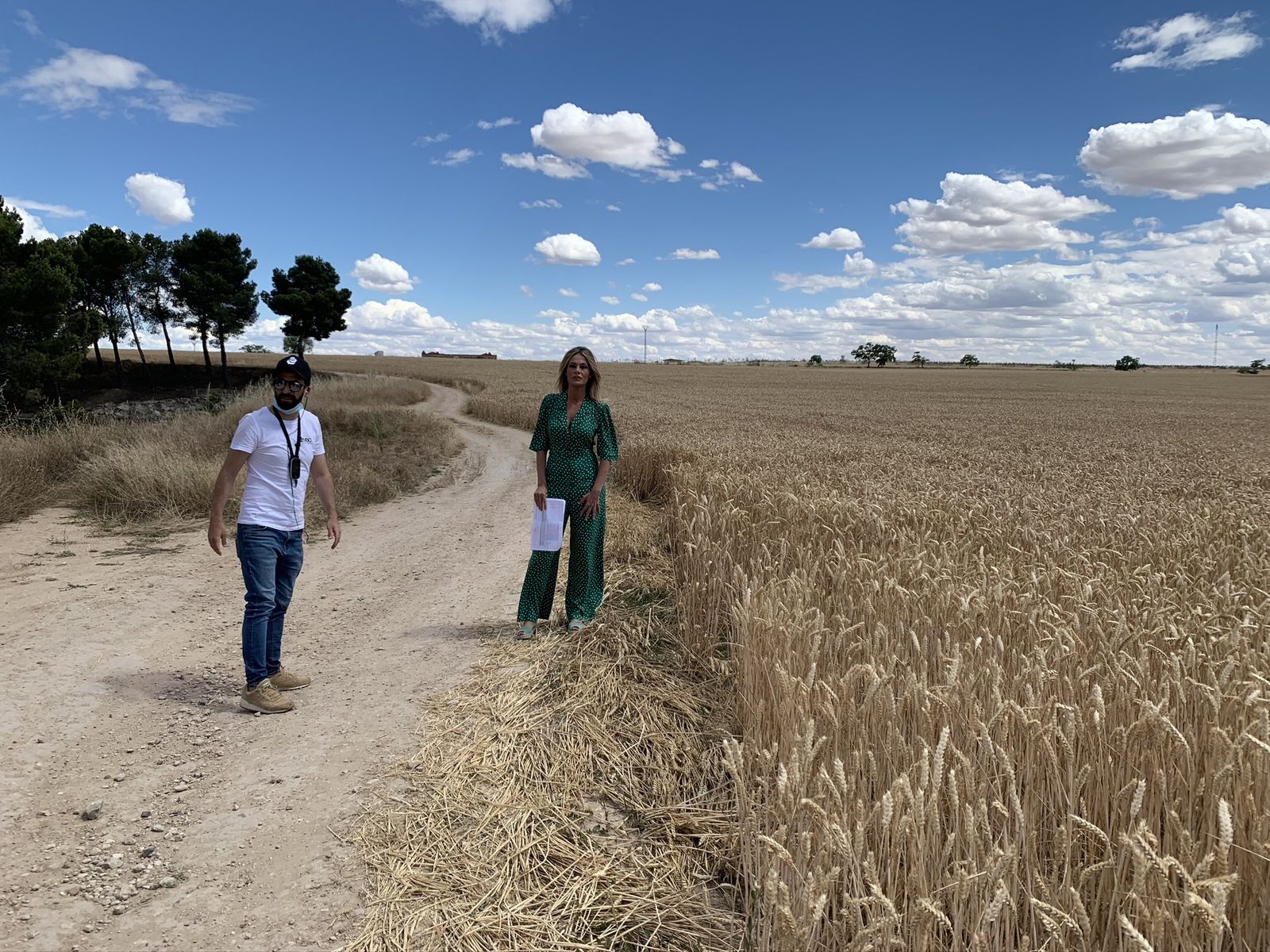 'Desmontando Madrid' reconstruye el pasado romano de Complutum, en Alcalá de Henares