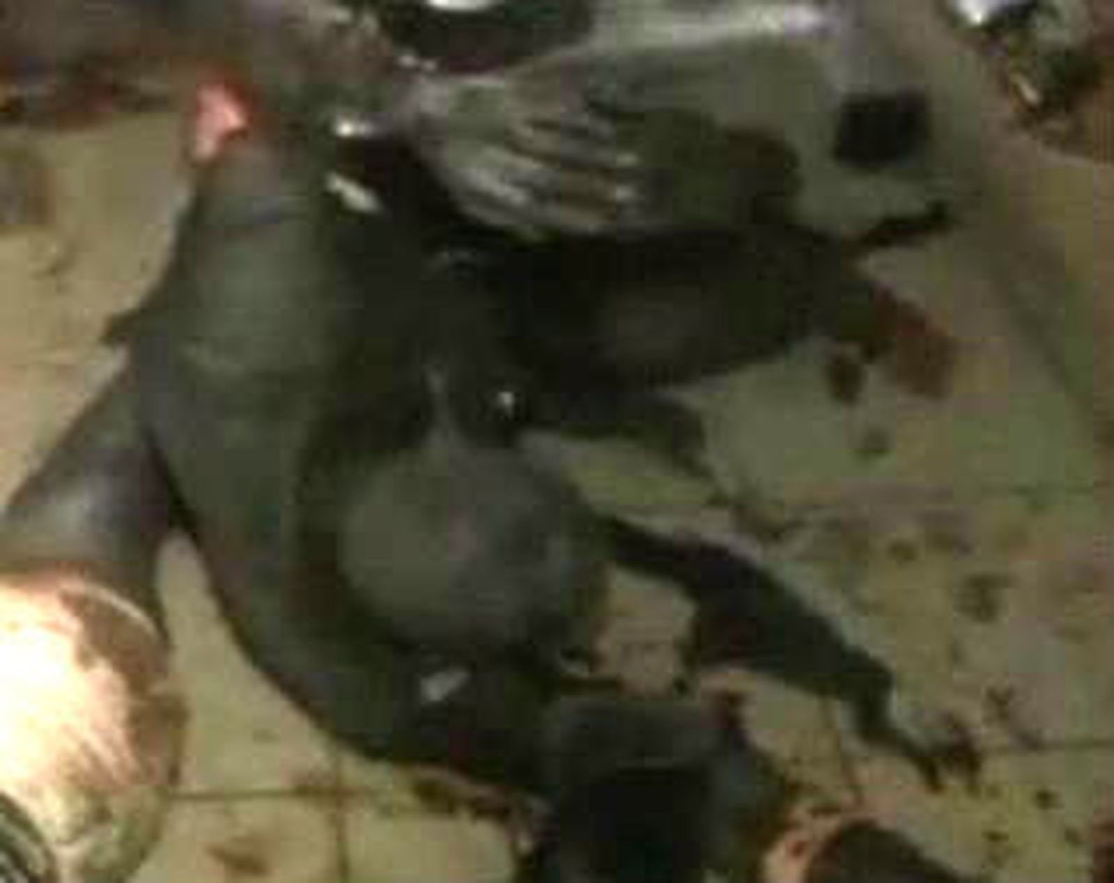 Atentado en Nigeria