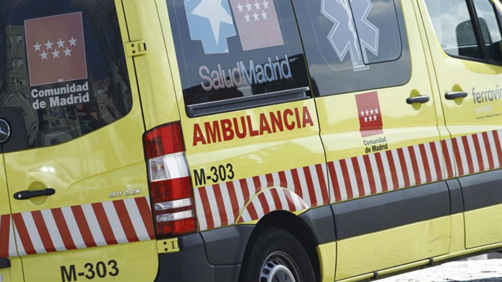 Un hombre de 80 años sufre paraplejia tras caer de un árbol en La Hiruela