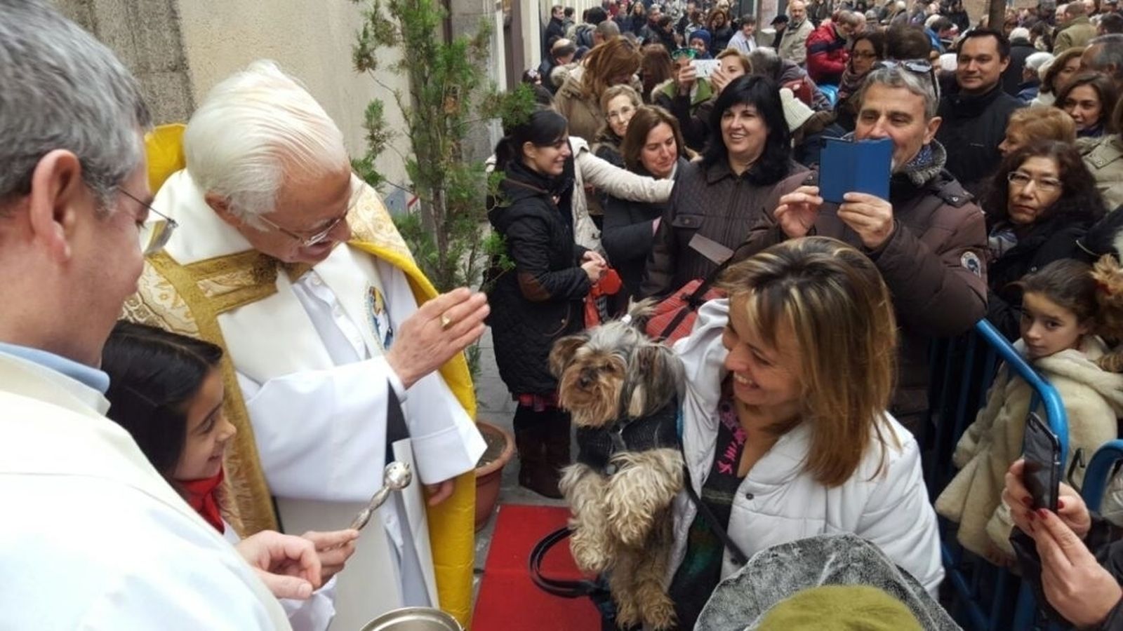 Imagen de las Fiestas de San Antón antes de la pandemia