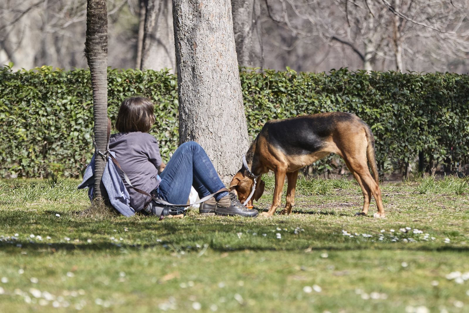 Una mujer junto a un perro en el Parque del Retiro