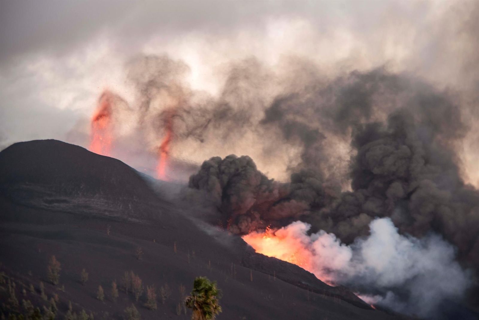 La lava que alcanza el mar en La Palma crea una isla baja de más de medio kilómetro de ancho