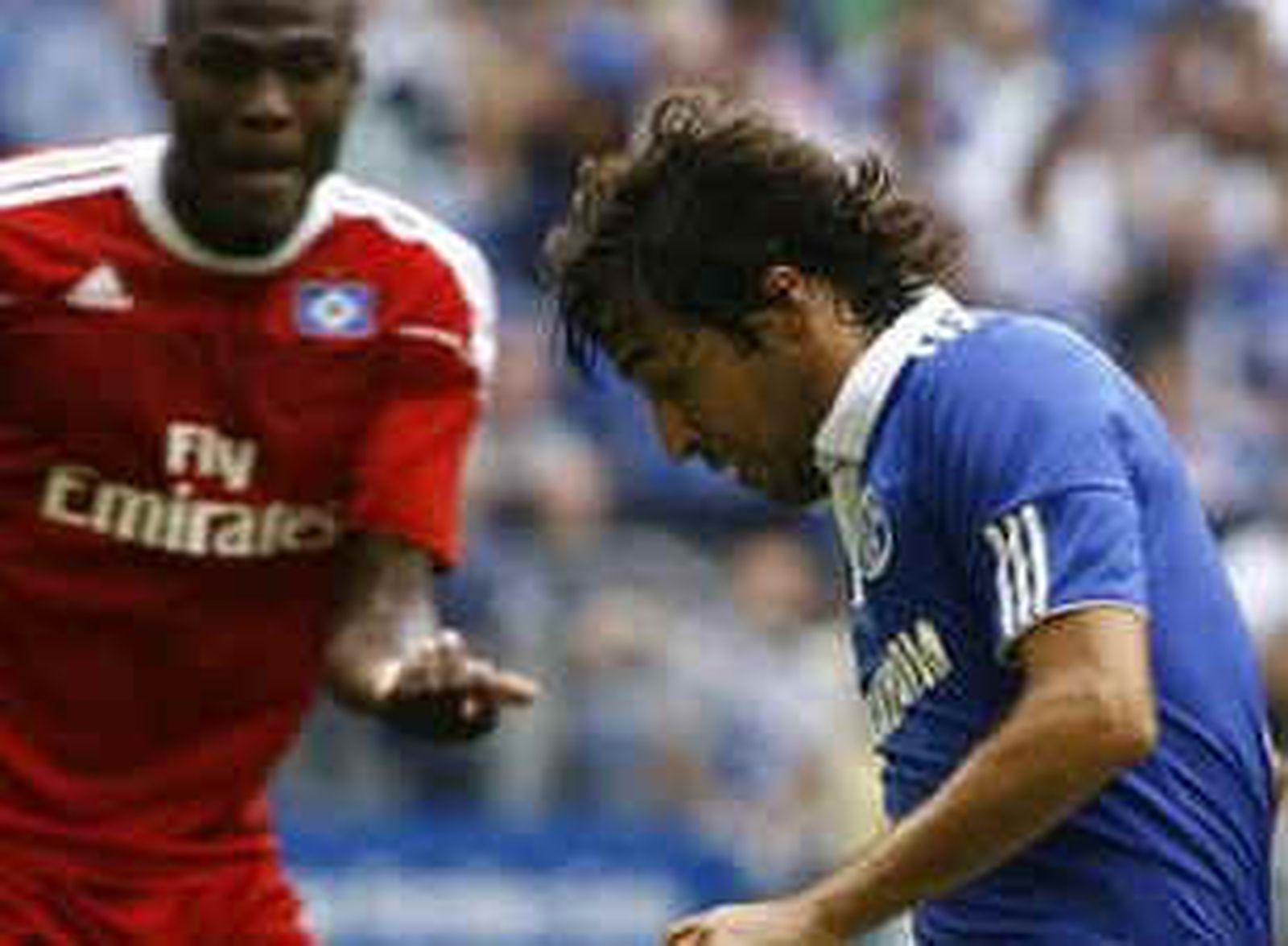 raul31