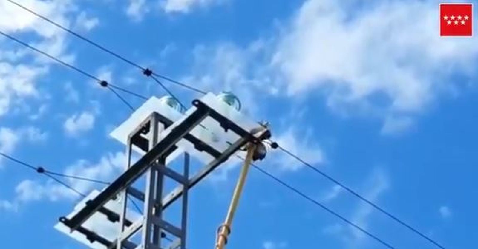 Rescatan a un Águila Calzada de un tendido eléctrico en Pedrezuela