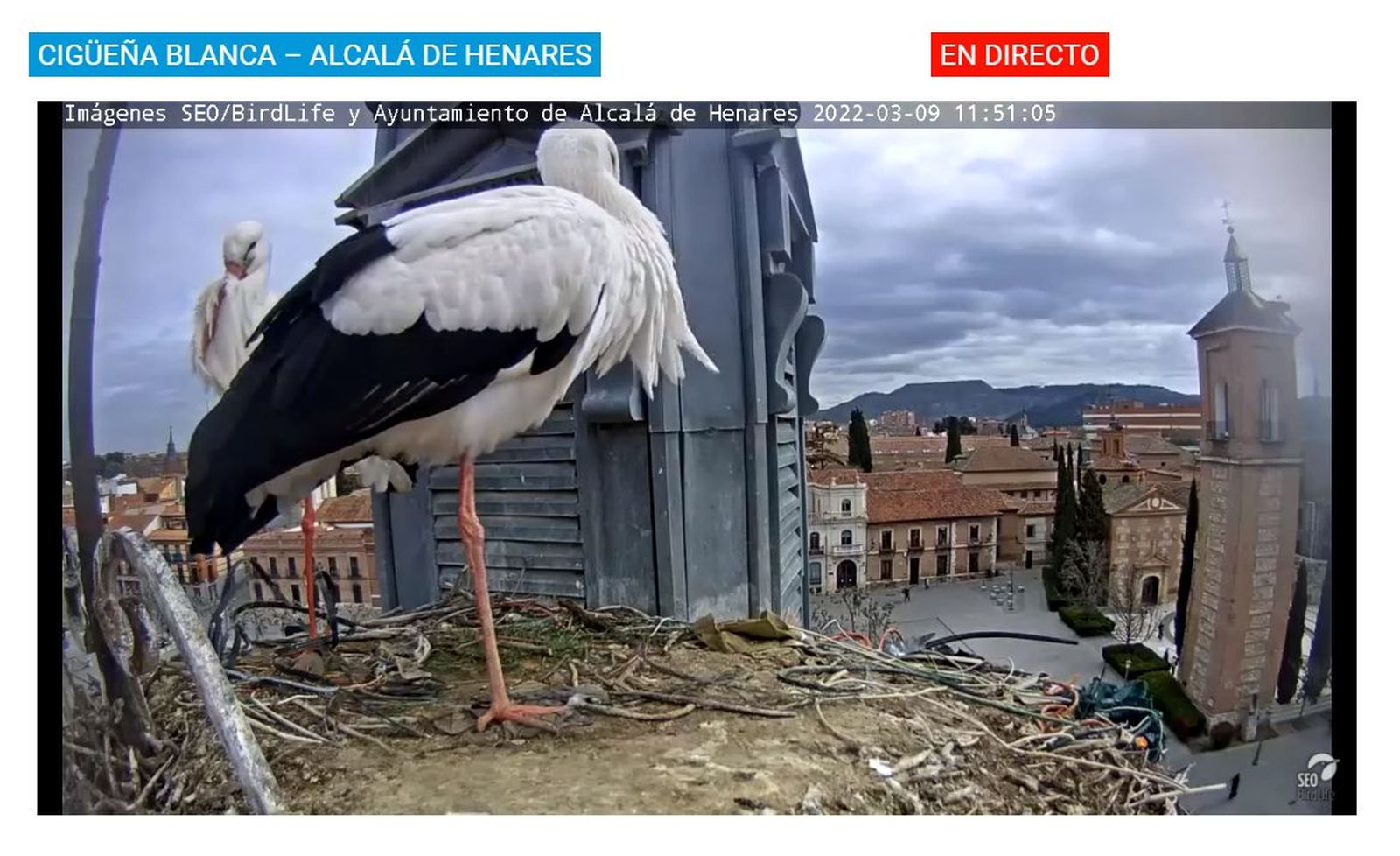 Captura de la webcam situada en el edificio del Ayuntamiento de Alcalá de Henares