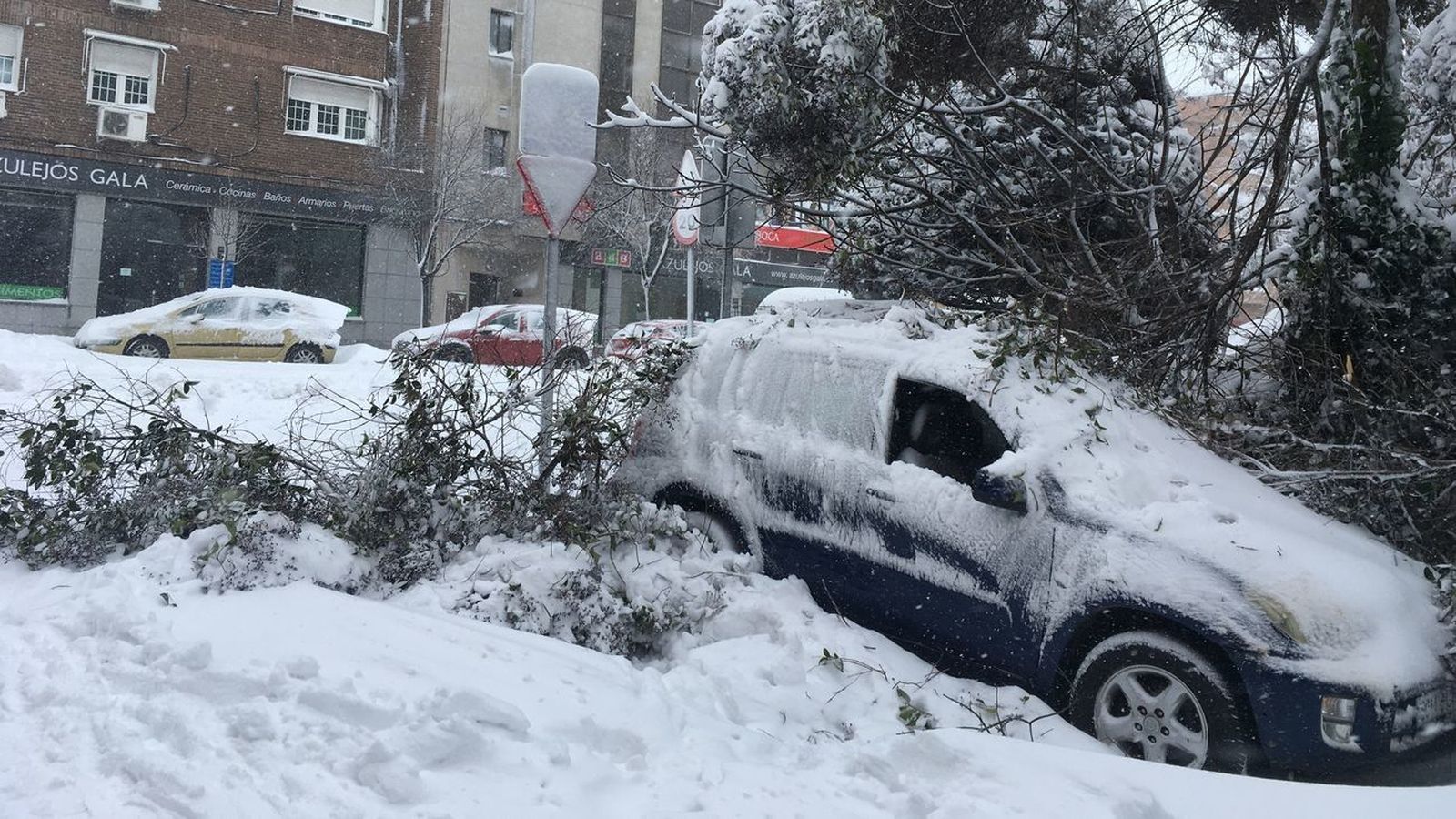 Daños de la tormenta 'Filomena' en Madrid