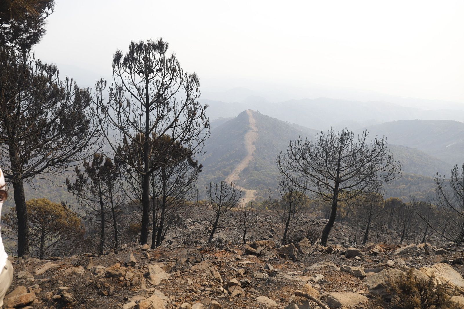 El viento complica las labores de extinción del incendio de la Sierra Bermeja en Málaga