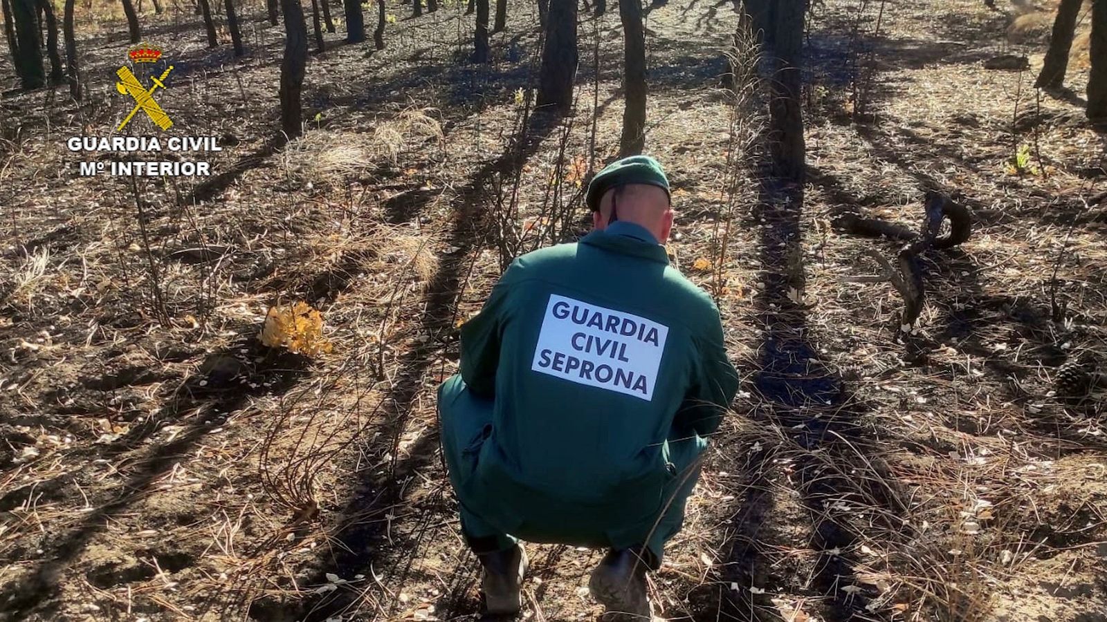 Agente del SEPRONA