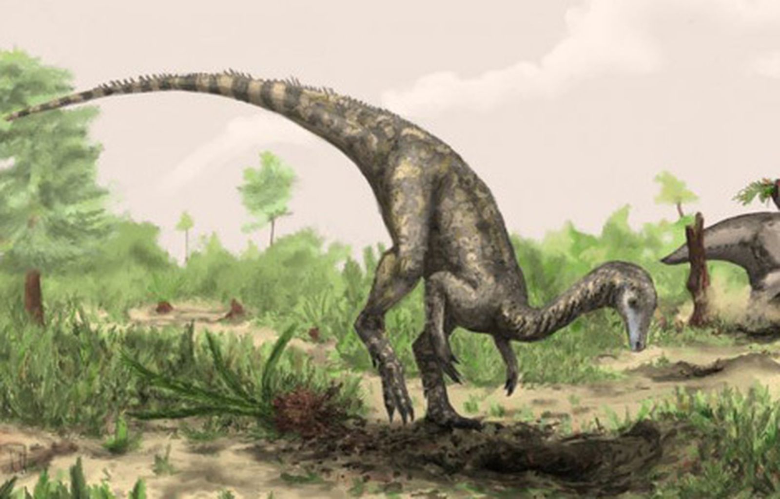 nyasasaurus