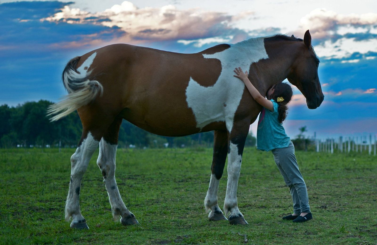 Verano y sin cole, un campamento con caballos en plena naturaleza