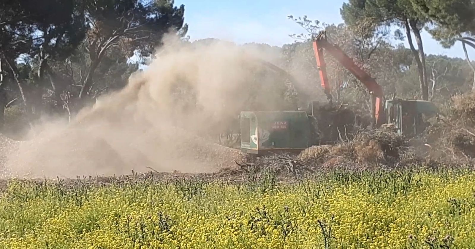 Maquinaria triturando restos de árboles en la Casa de Campo