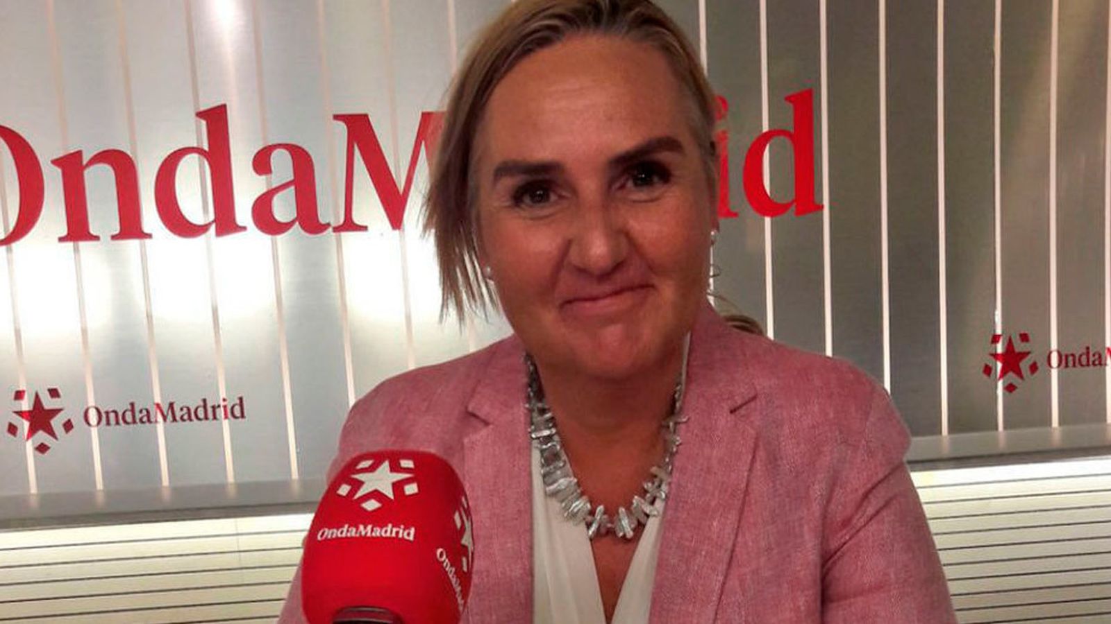 Rosalía Gonzalo: "Fomento no va a resolver el problema de las VTC"