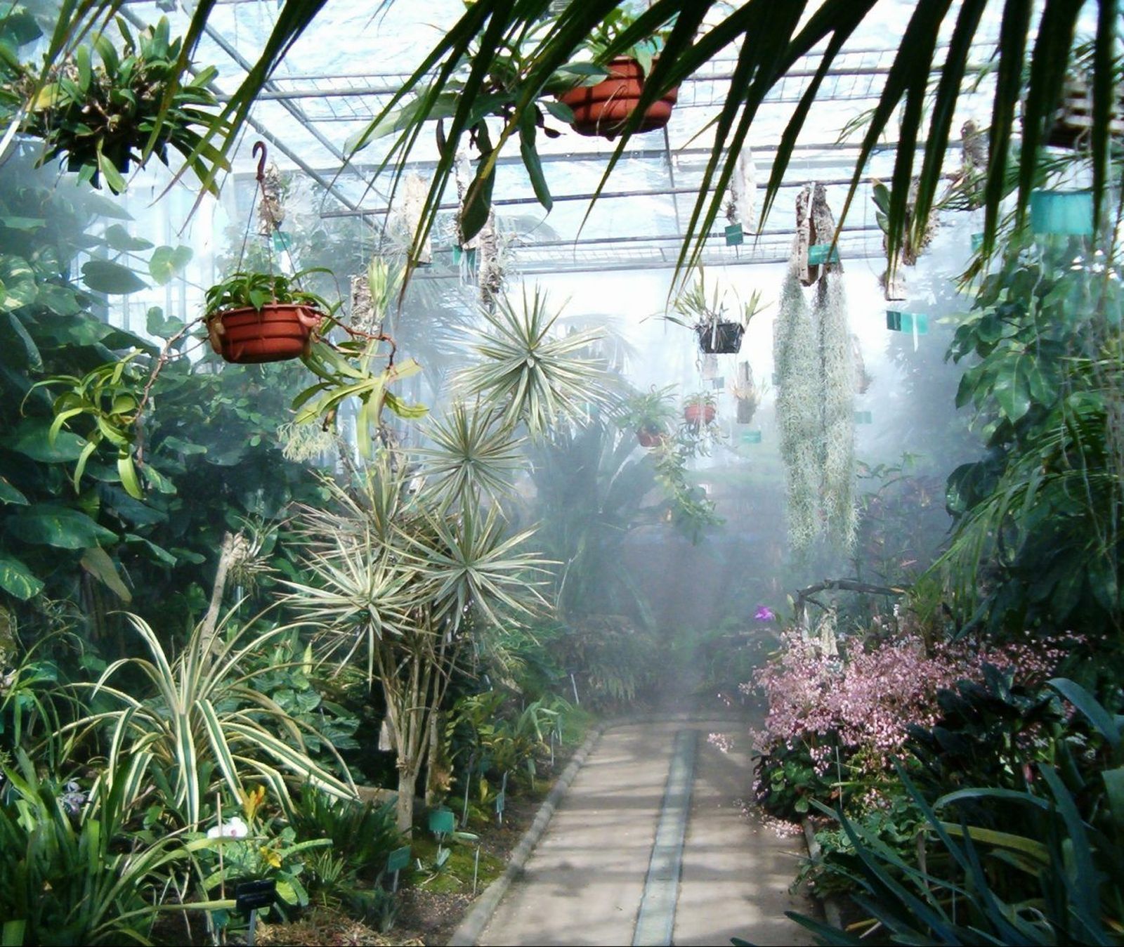 Uno de los espacios del Jardín Botánico de la Universidad de Alcalá de Henares