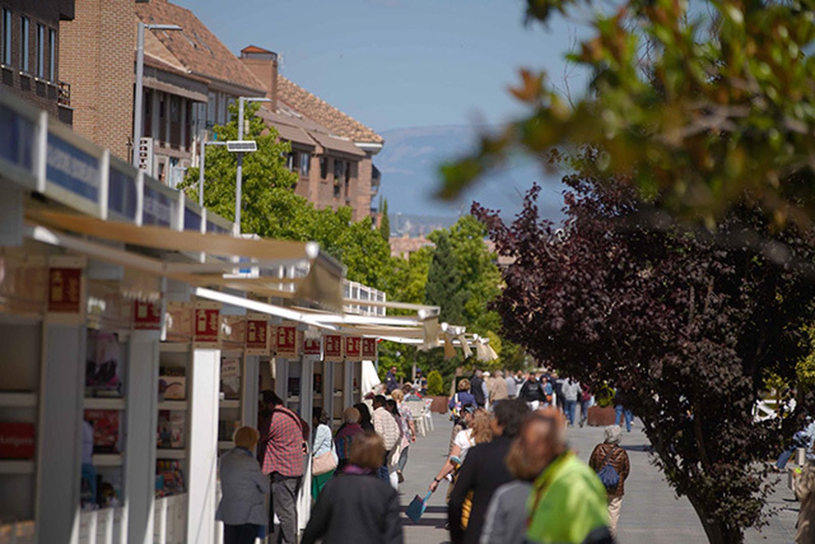 Feria del Libro de Las Rozas