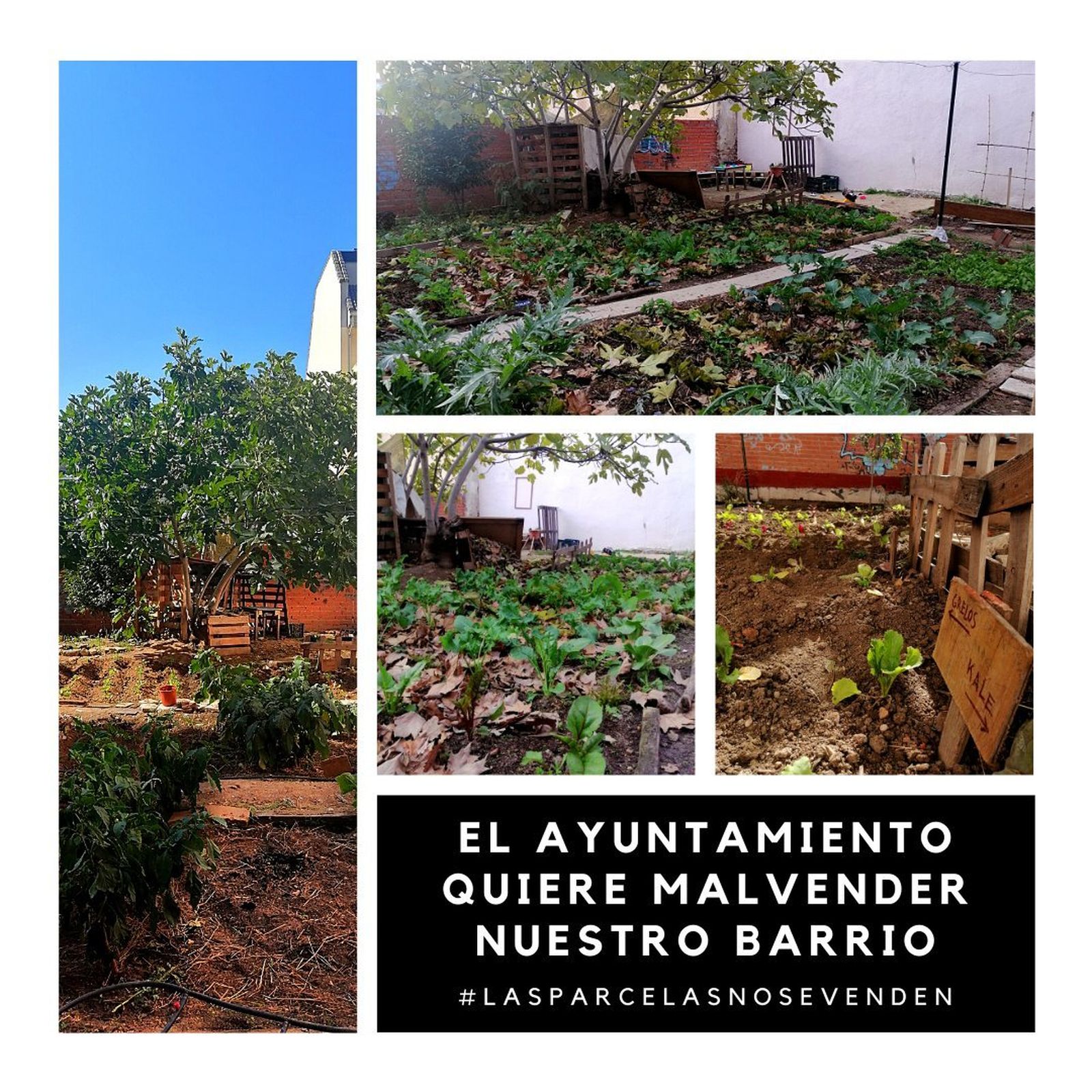 Imágenes de Solar de Matilde reivindicando su continuidad