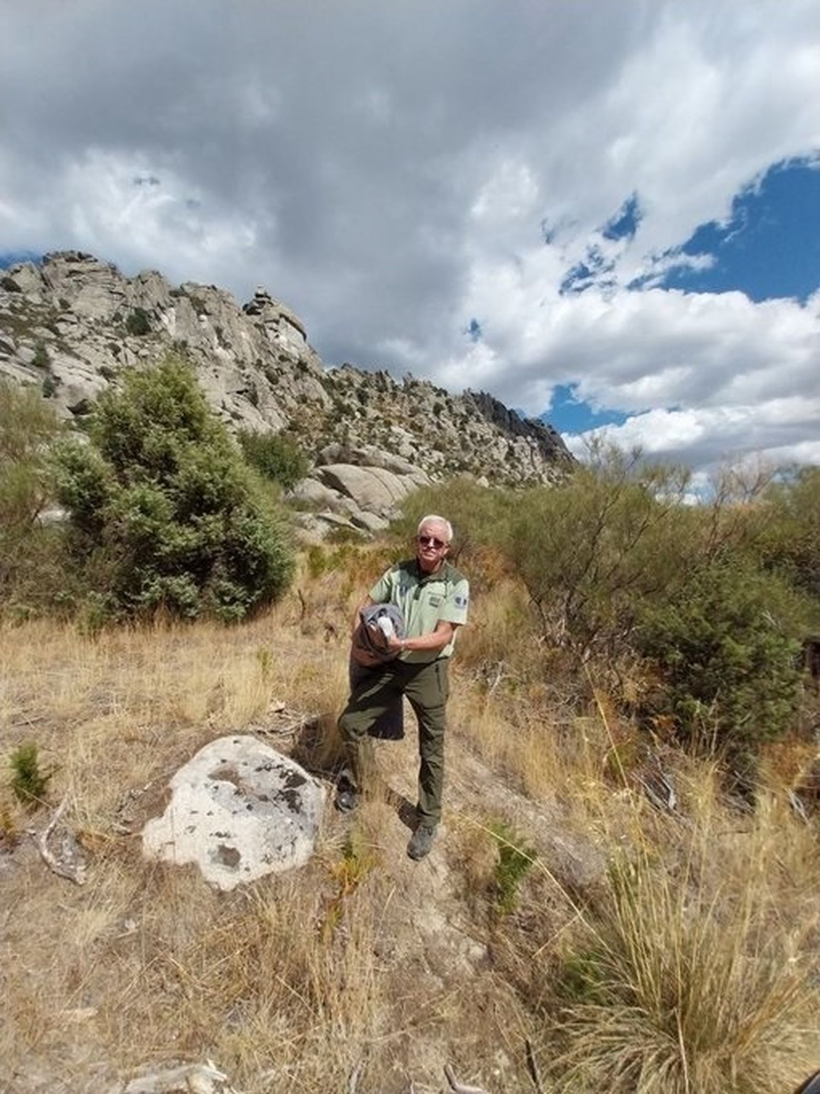 Rescatan a un buitre leonado en La Pedriza