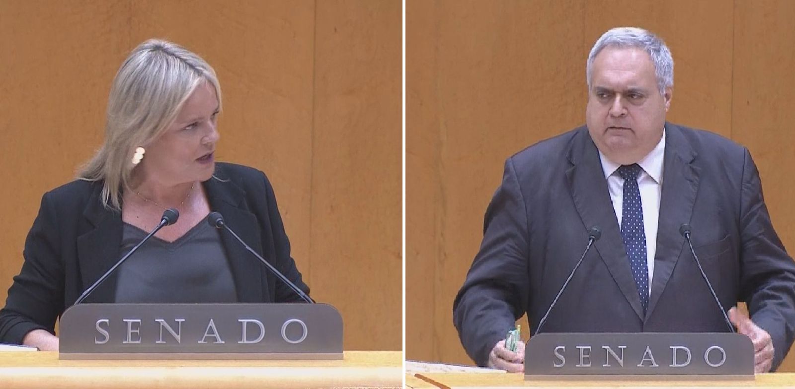Reproches en el Senado por Miguel Ángel Blanco y la política penitenciaria en el País Vasco