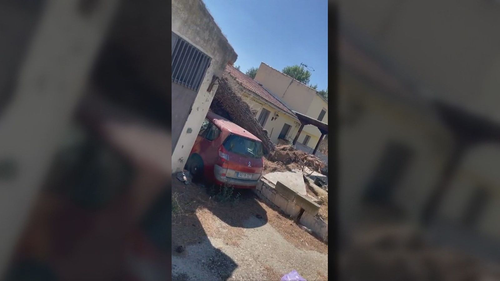 Un árbol de grandes dimensiones se derrumba sobre la casa de una vecina de Torrelaguna