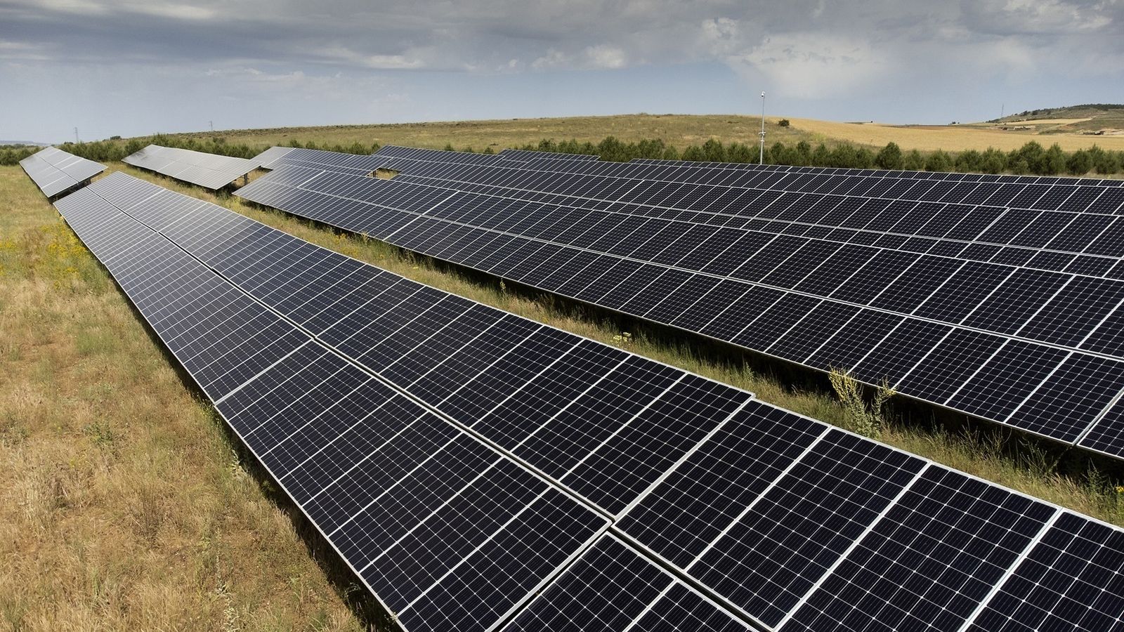 Paneles solares
