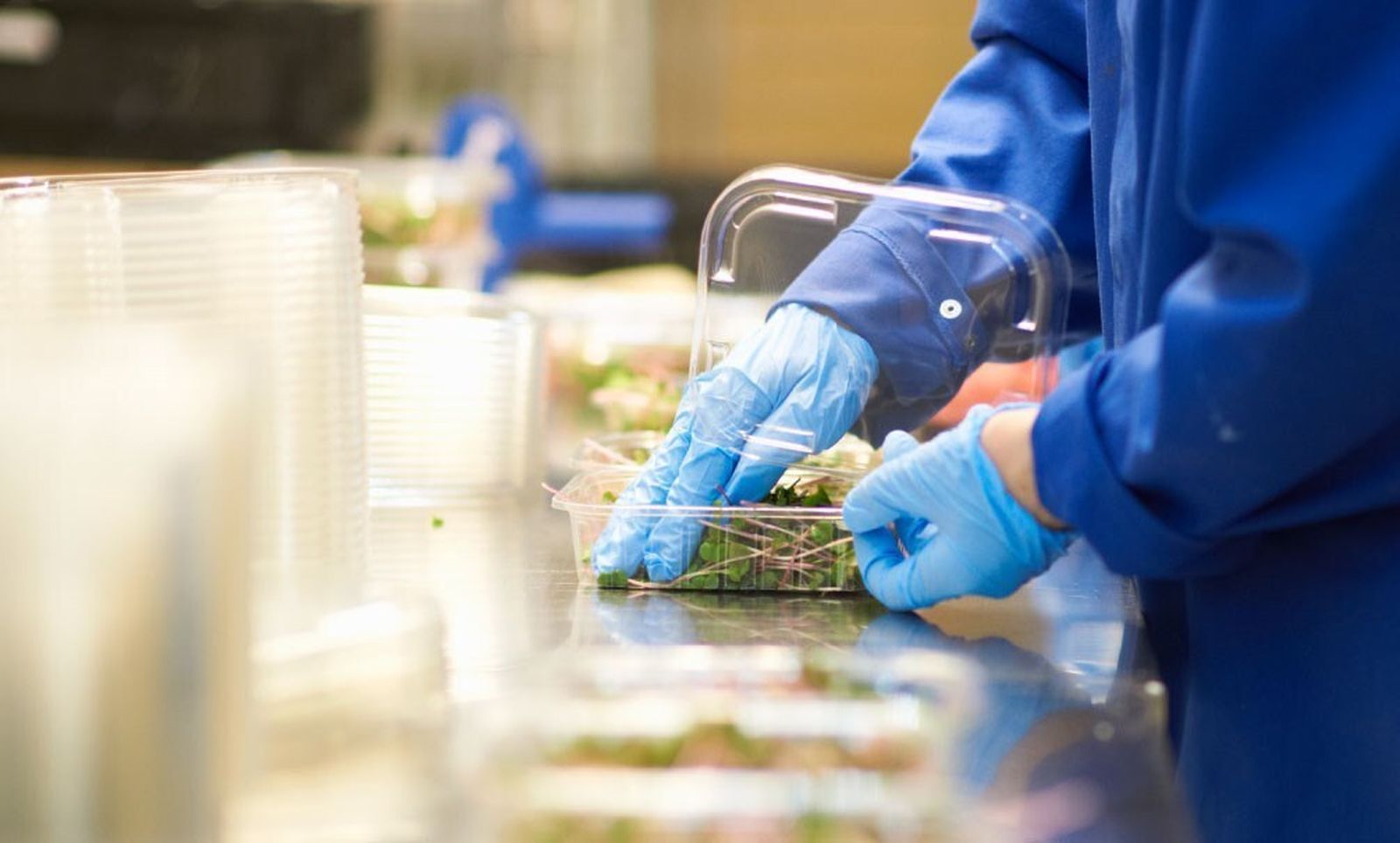 Envasado de alimentos