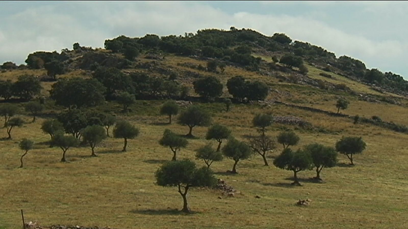Los Navalucillos, Toledo