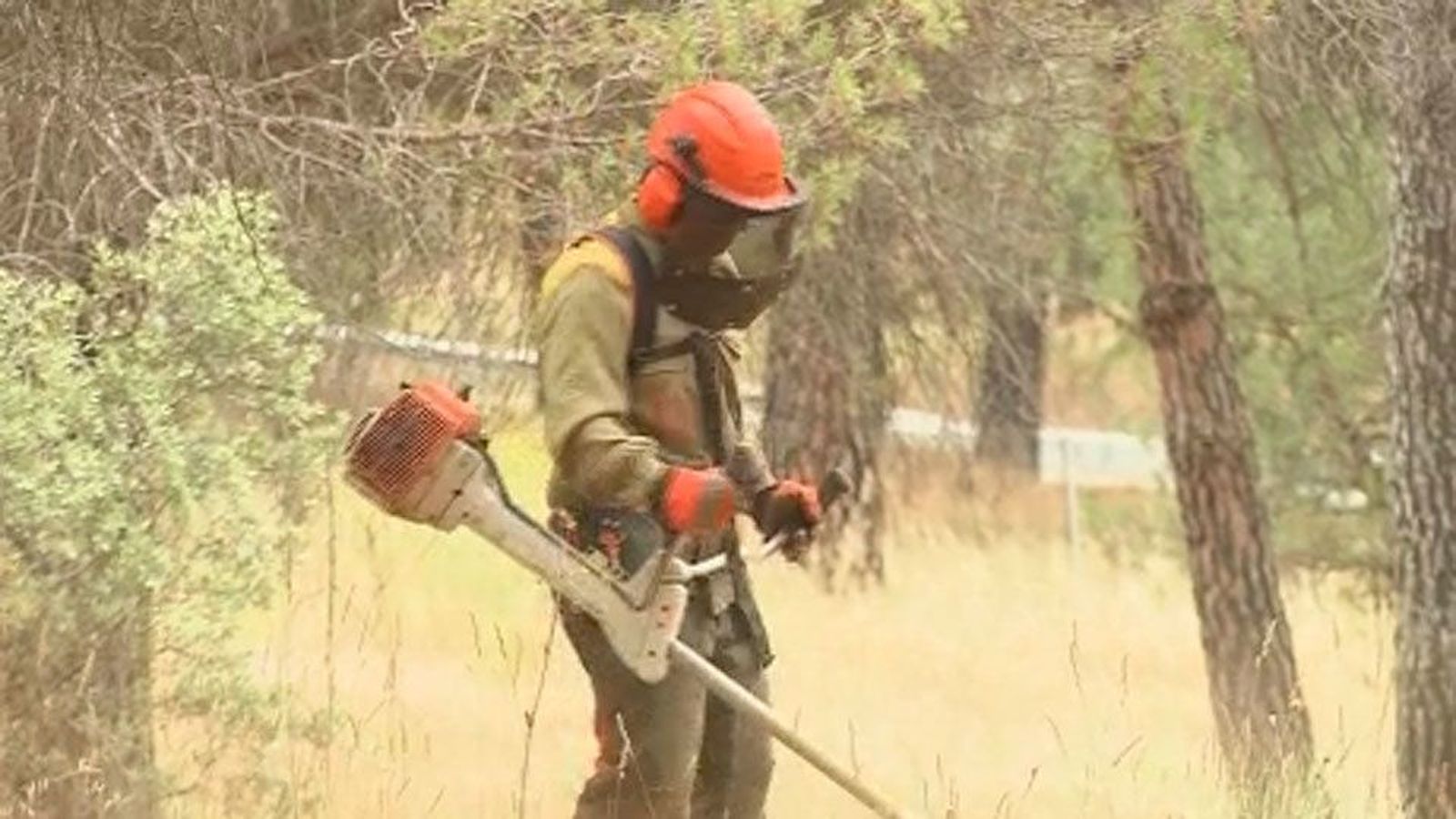 Desbrozan los montes en la Comunidad de Madrid para evitar incendios