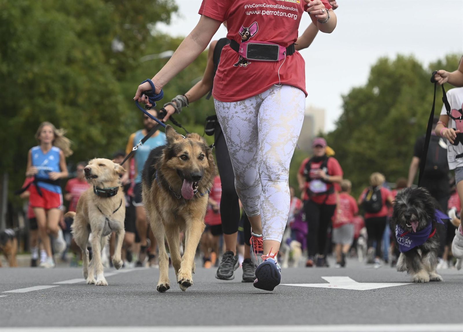 Perrotón corre en Madrid  contra el abandono animal con más de 5000 participantes