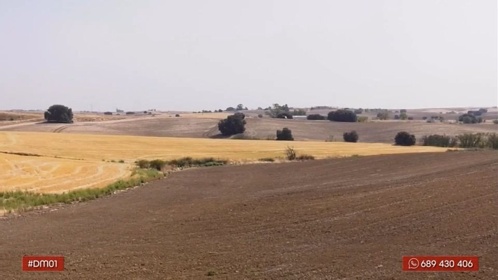 La tradicional relación entre tiempo, campo y refranero ¿rota por el cambio de clima?