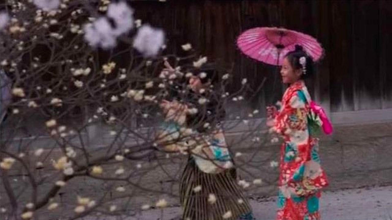 Working Holigay en Japón para 250 jóvenes españoles