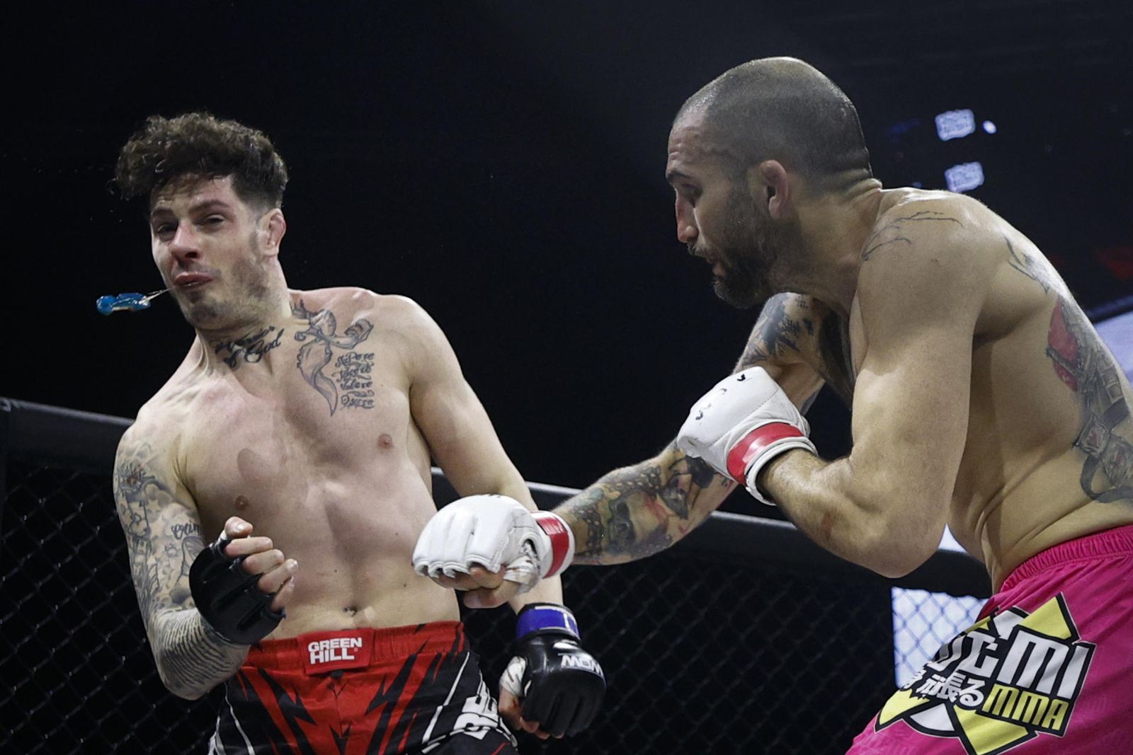 Artes marciales mixtas