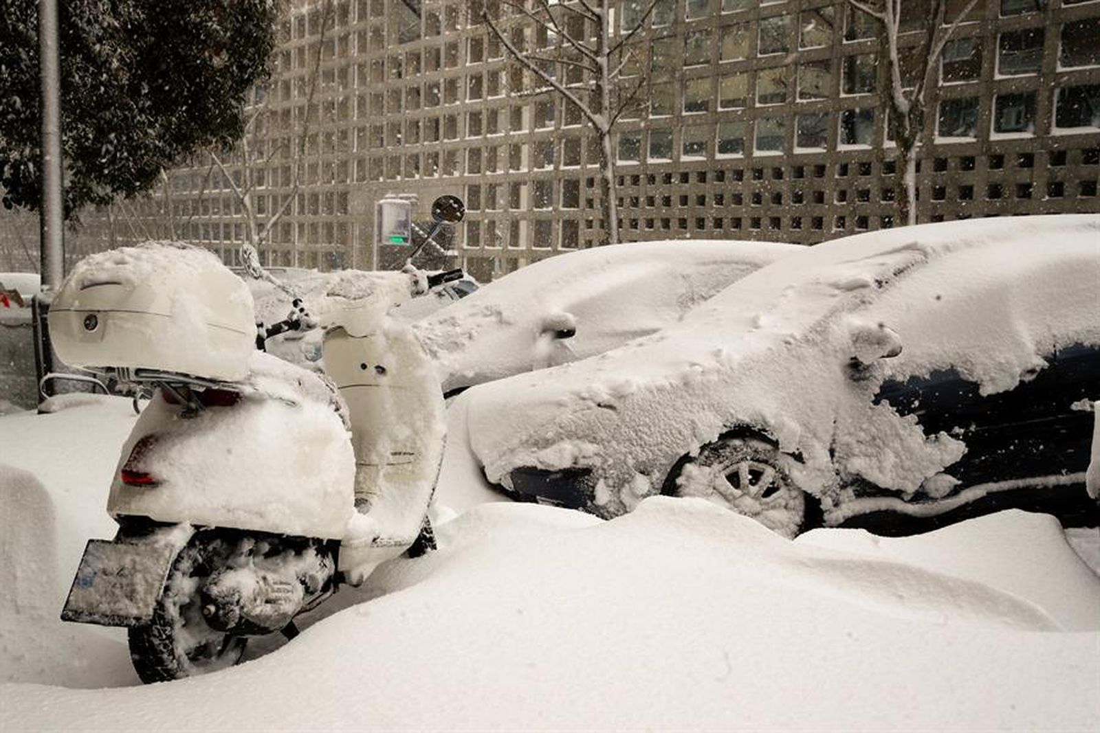 Coches cubiertos por la nevada Filomena