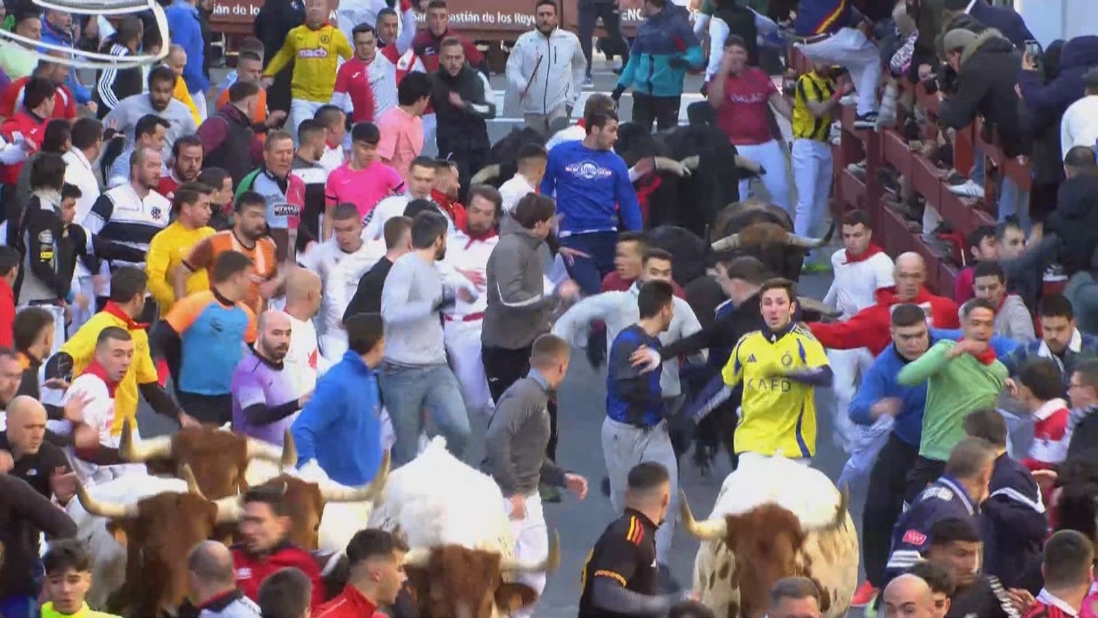 Cuatro heridos y 2.500 corredores en el primer encierro blanco de Sanse