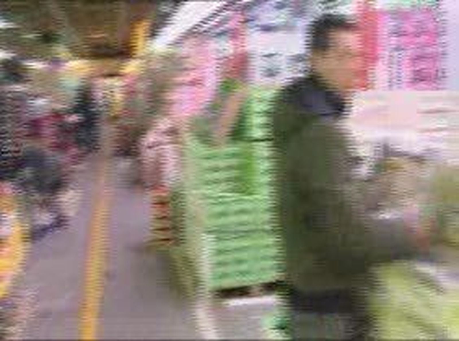 precios_20101231V0.wmv