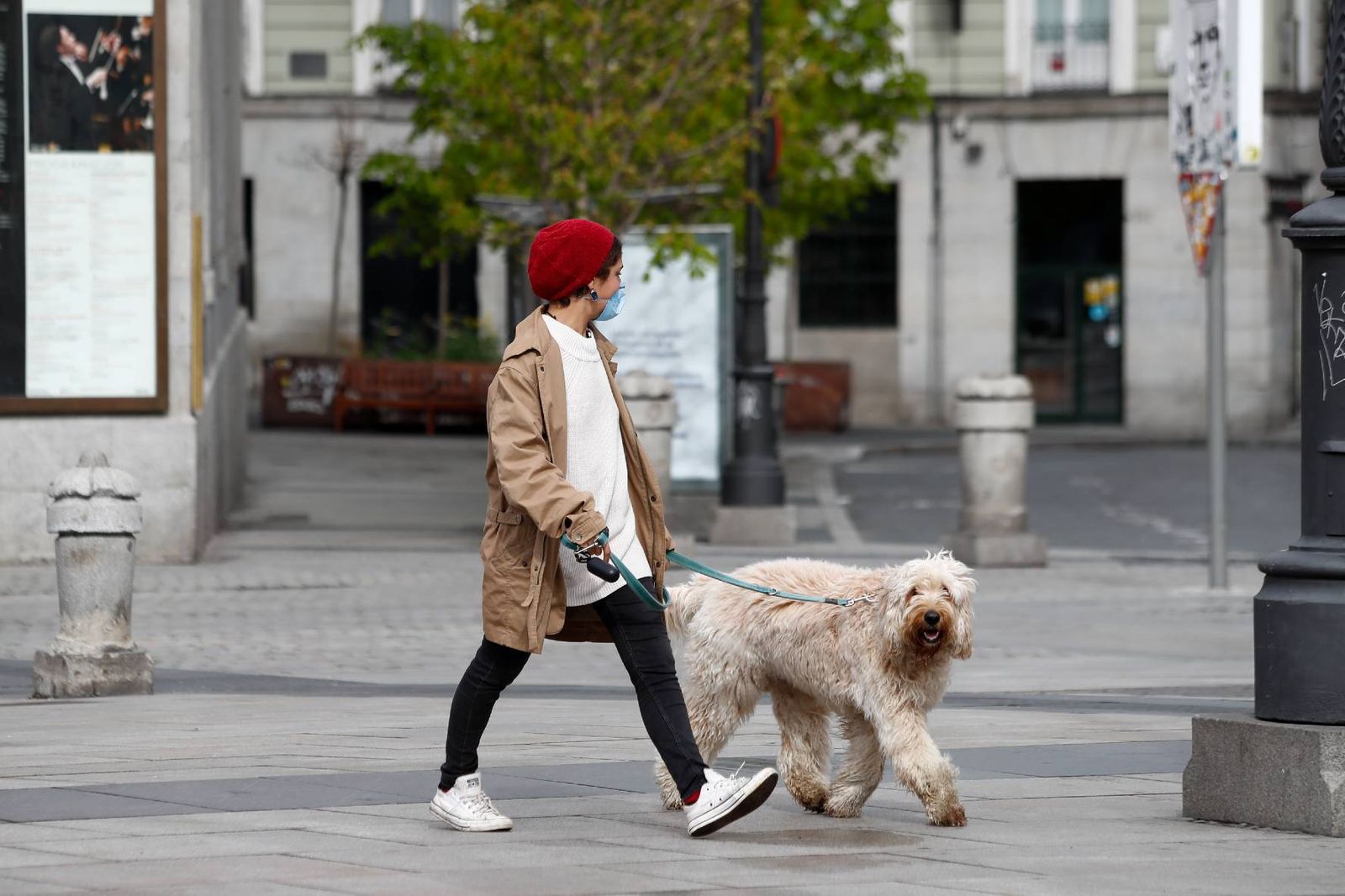 Pasear-perro-Madrid