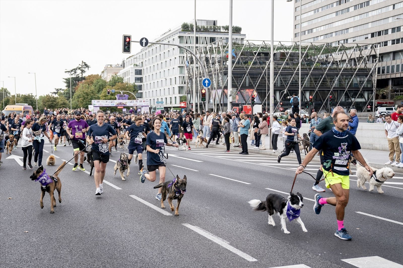 Participantes en una carrera popular con sus mascotas