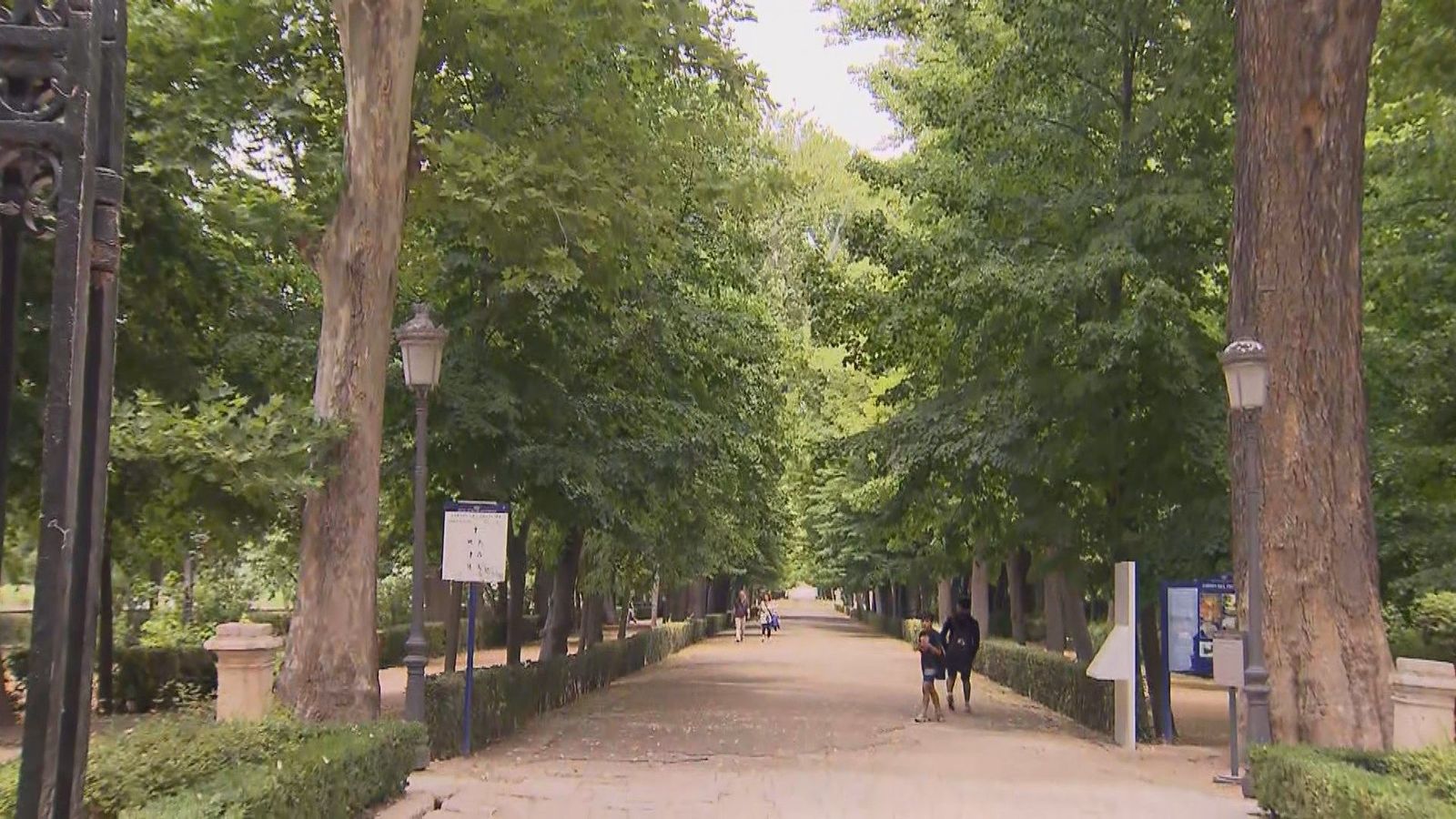 Campaña de fumigación en Aranjuez contra la mosca negra