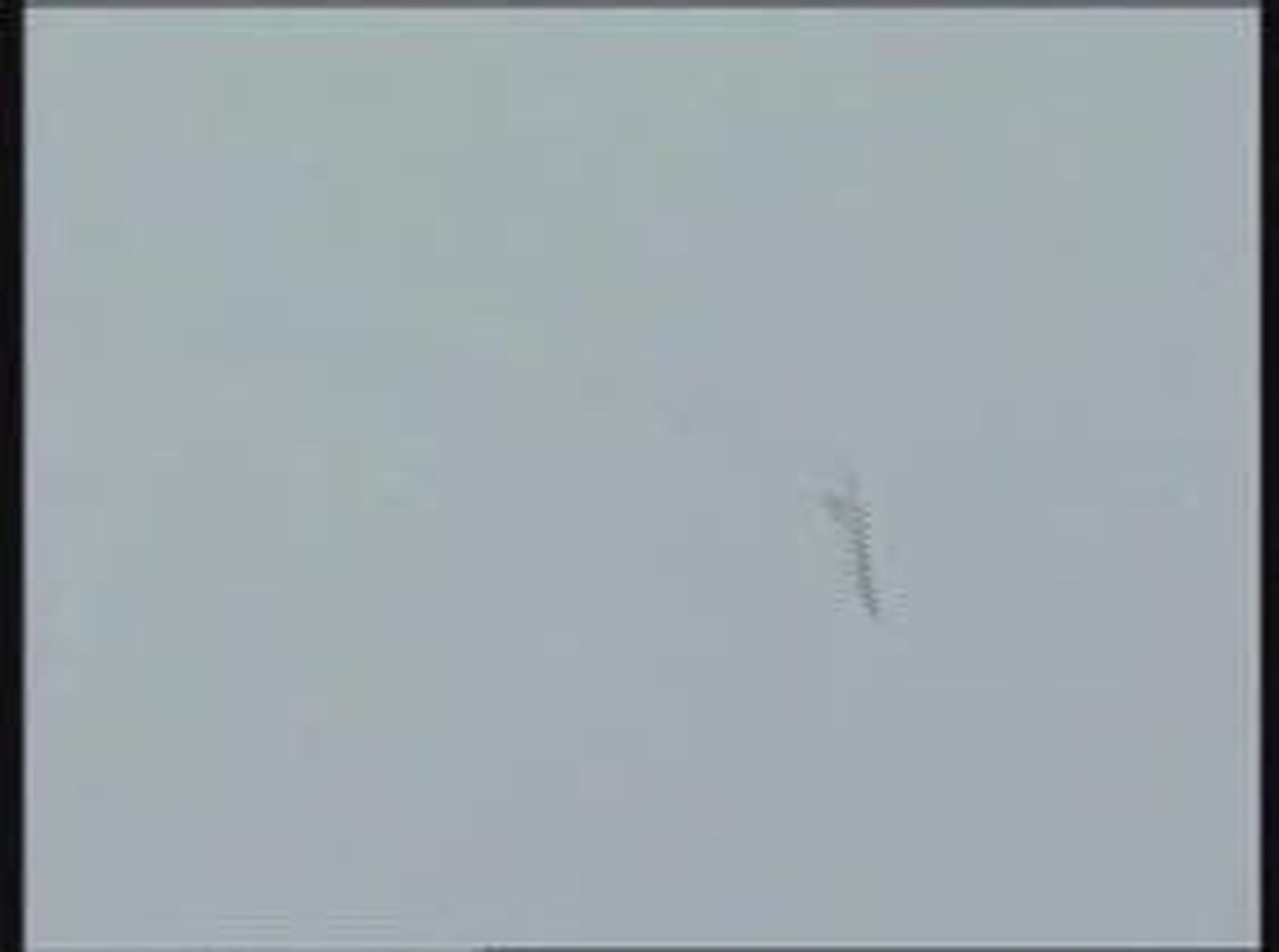 Un caza chino se estrella en plena maniobra acrobática