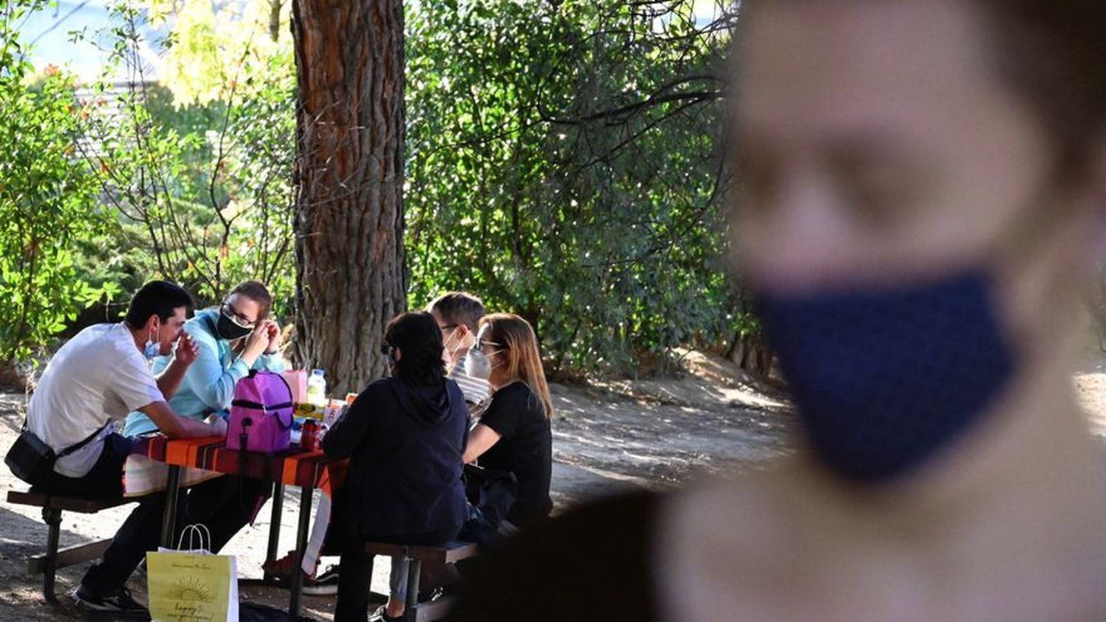 La pandemia pone de moda los picnics en Madrid