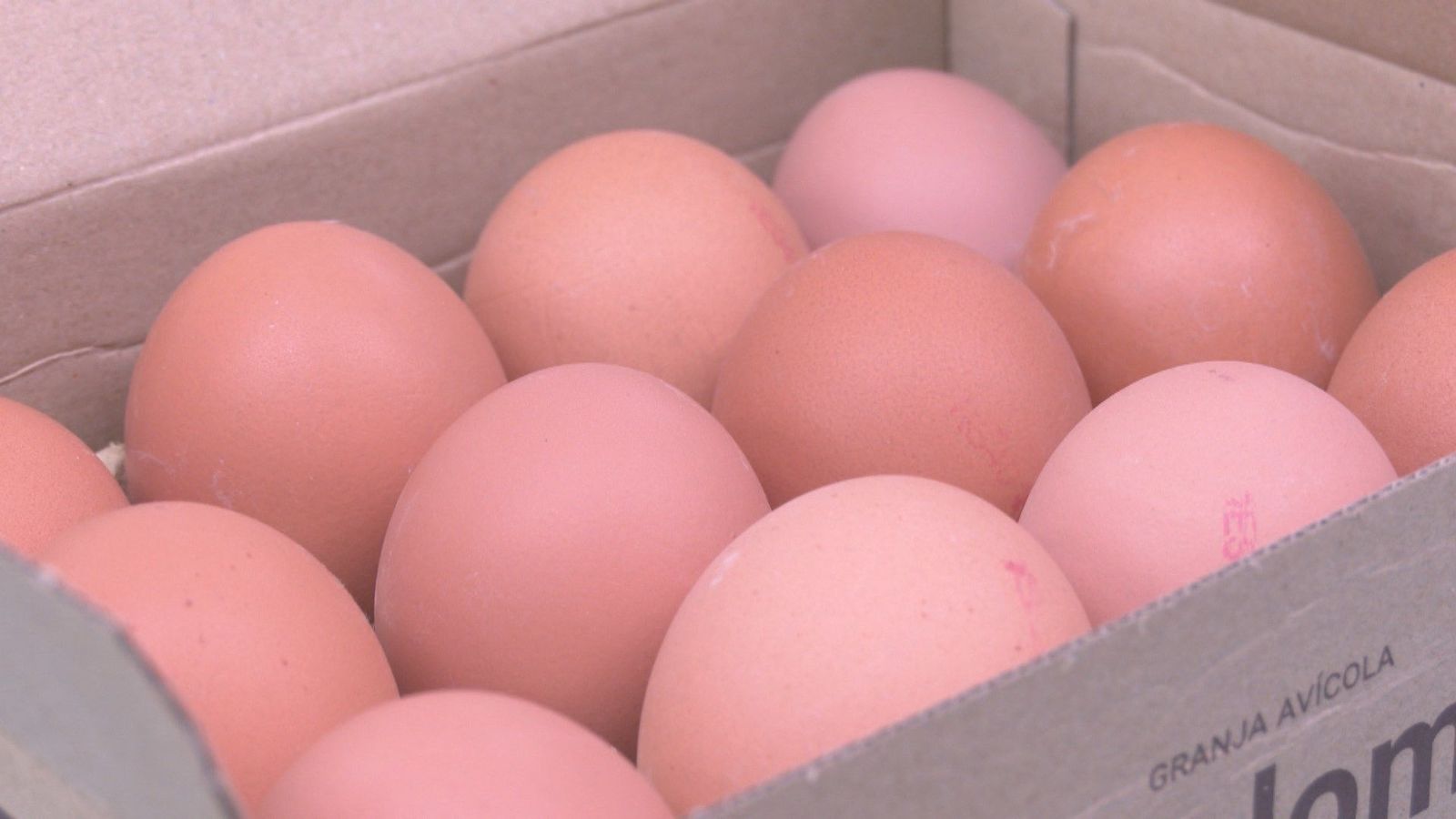 El precio de los huevos se dispara en España y en EEUU hay escasez en el súper