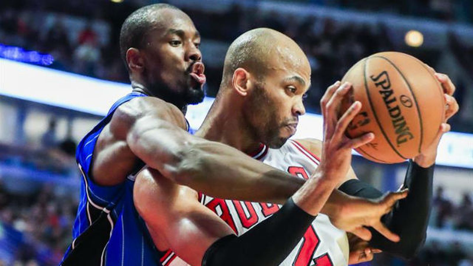 bulls_magic0811.jpg