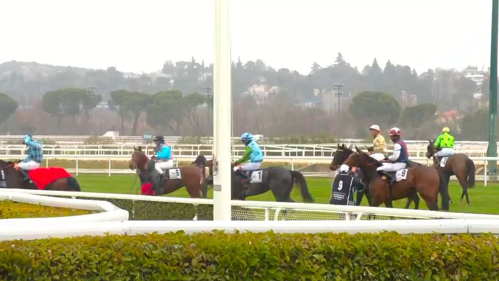 Comienza la temporada de carreras de caballos en el Hipódromo de la Zarzuela