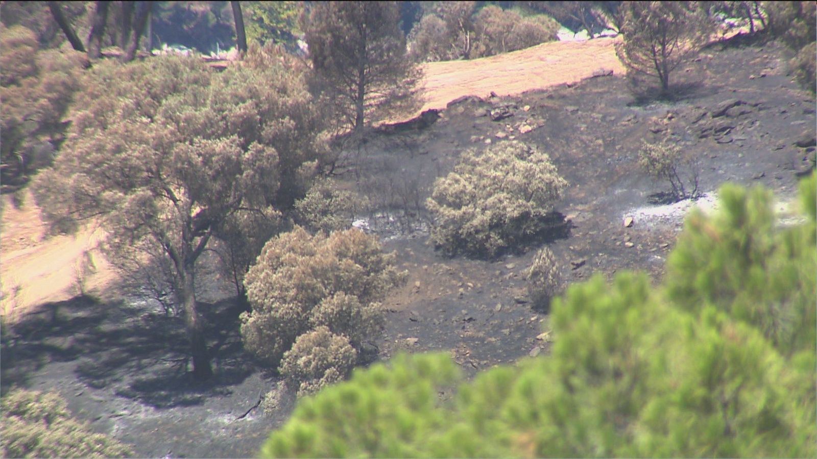 Continúan las labores de control una semana después del incendio del pantano de San Juan