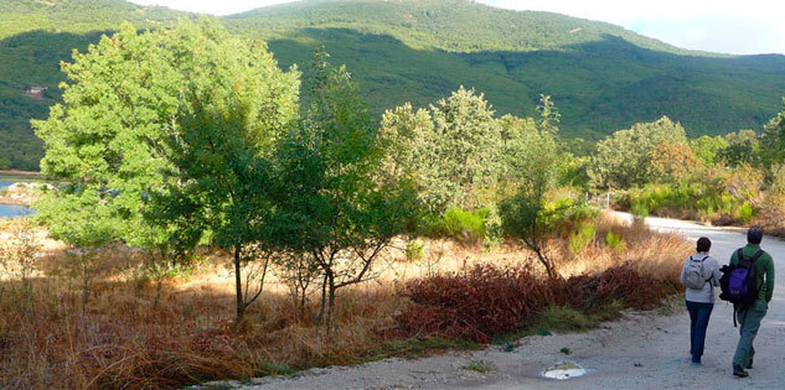 Ruta por el embalse de Los Morales, en Las Rozas de Puerto Real