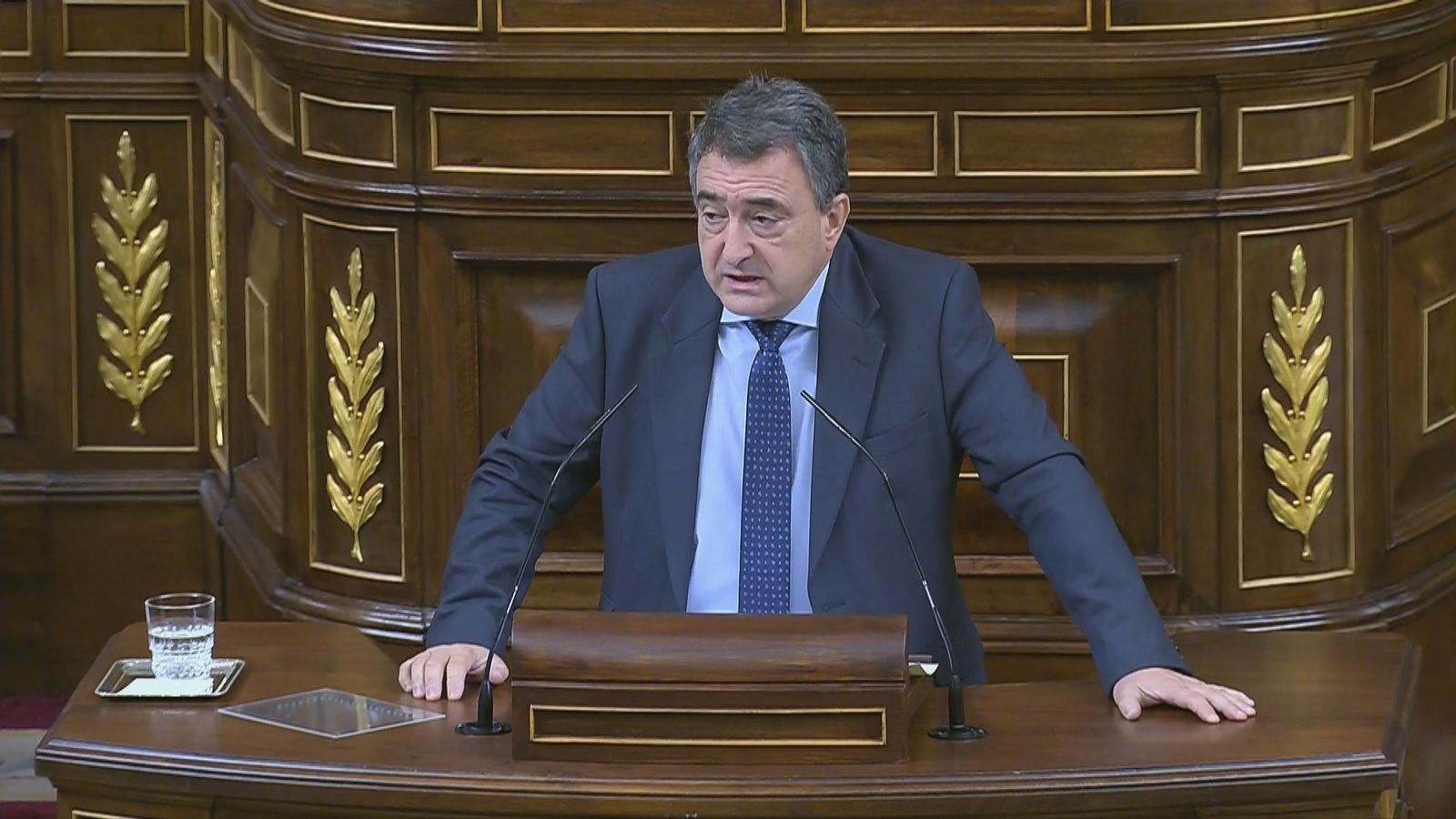 Aitor Esteban, portavoz del PNV