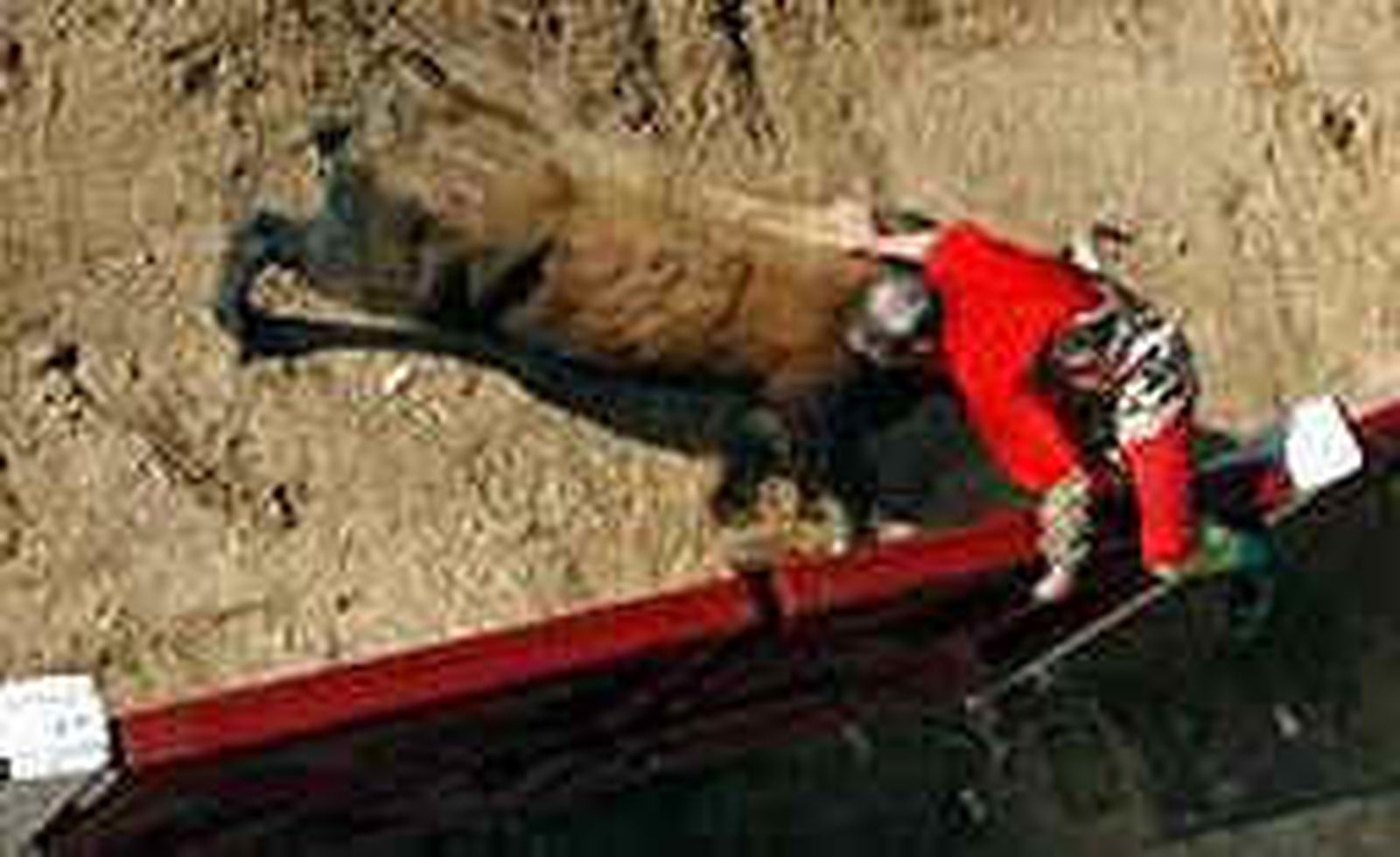 Siete fallecidos en festejos con toros este año, un total de 48 desde 2000