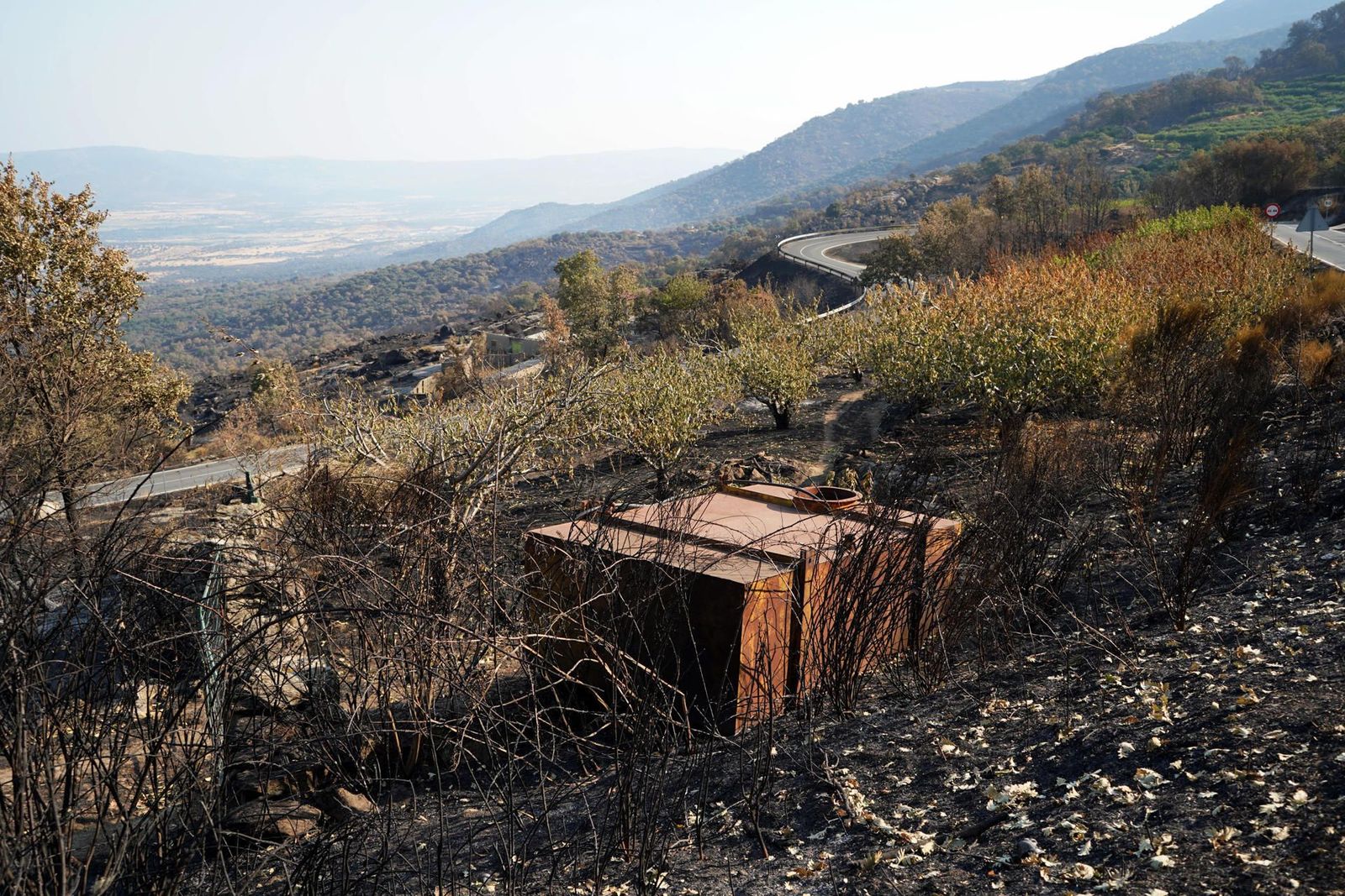 Imágenes de pueblo de la Jarilla tras el devastador incendio que arrasó 17.300 hectáreas