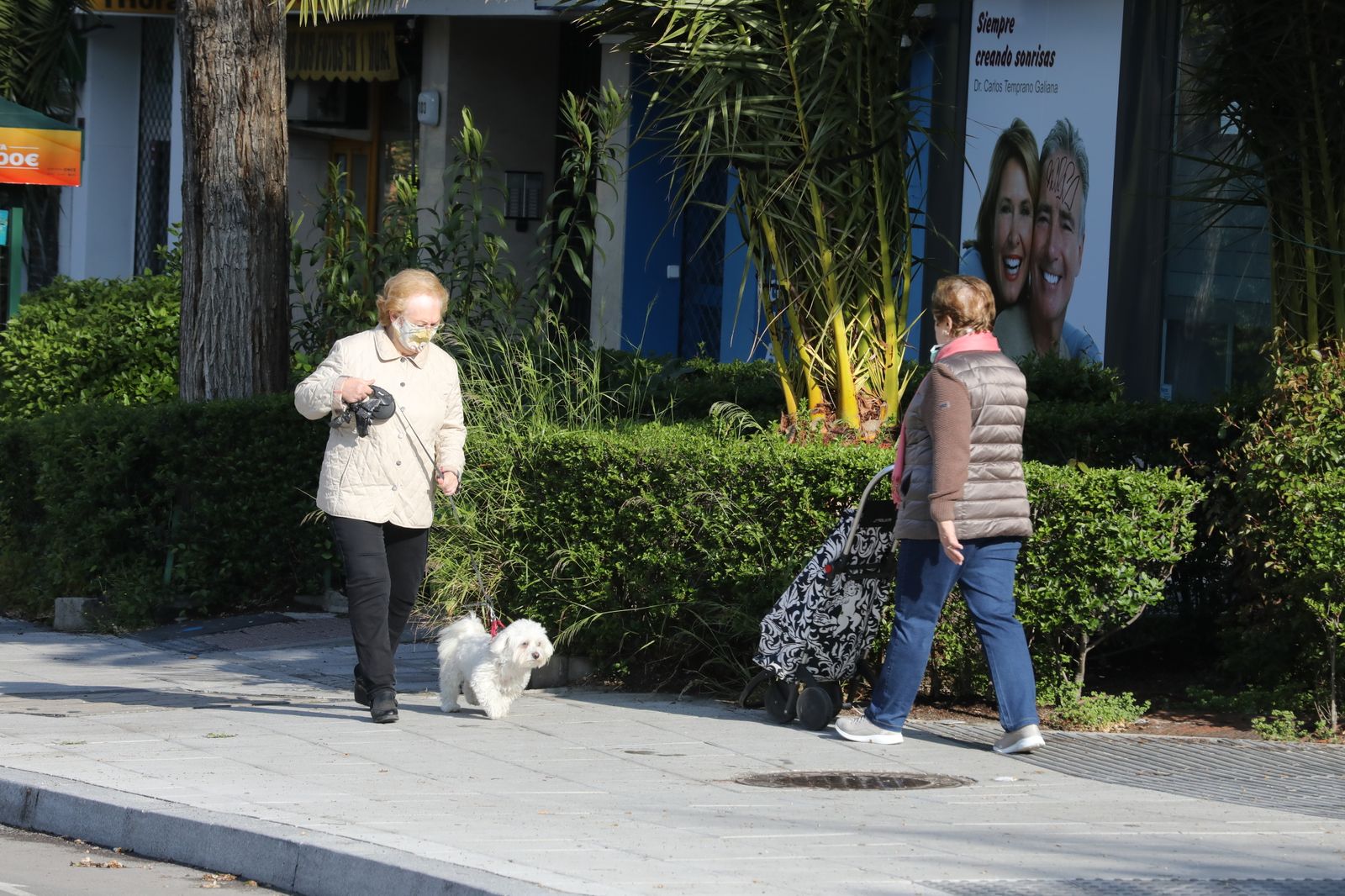 Persona paseando a su perro