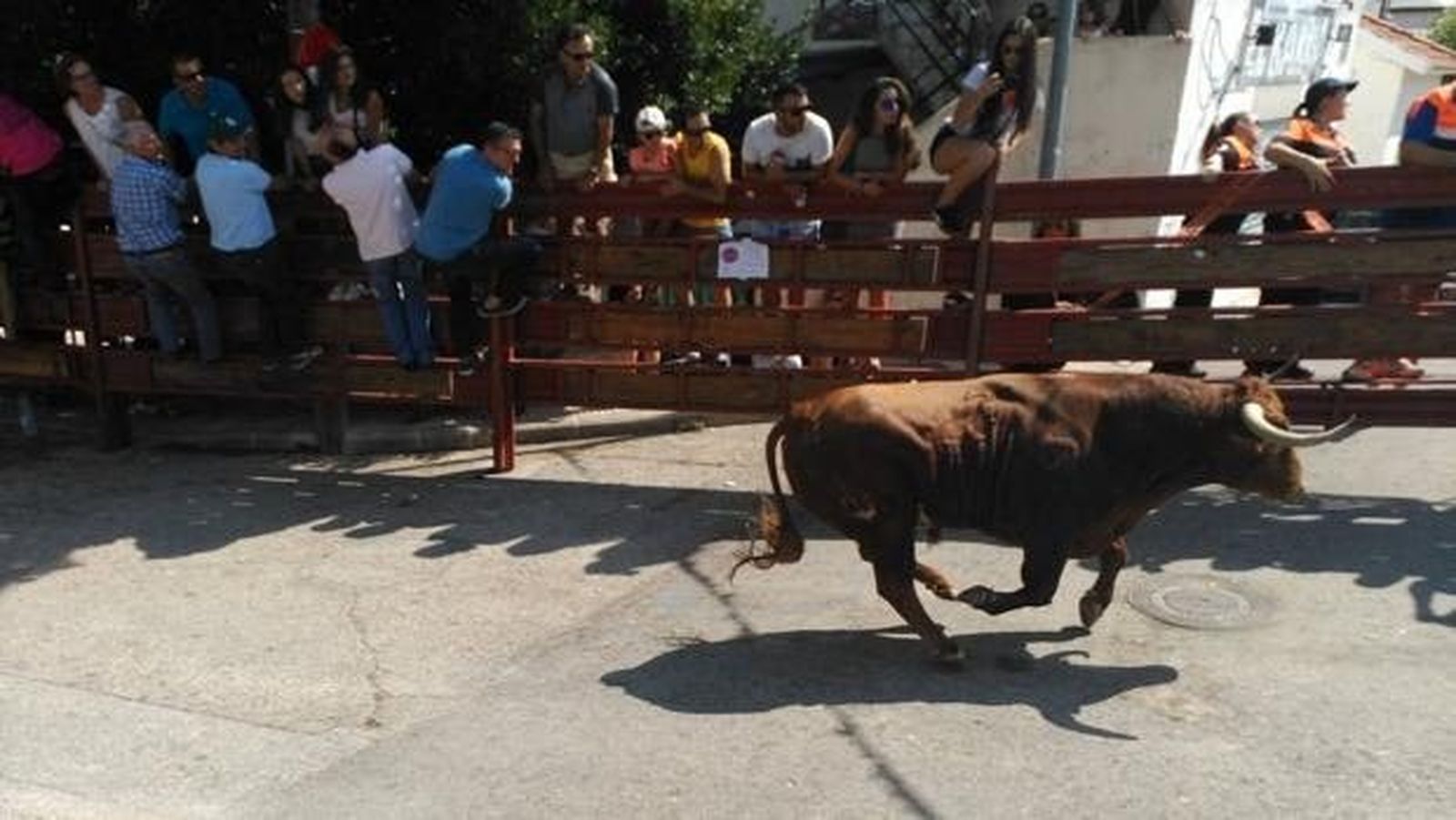 Encierros en Galapagar