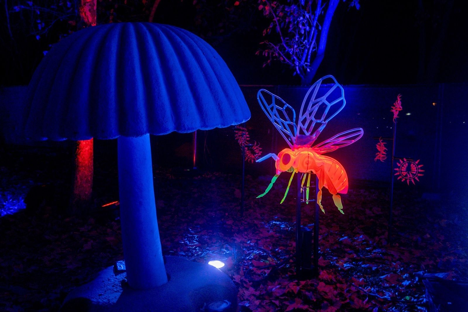Naturaleza Encendida en el Parque Enrique Tierno Galván