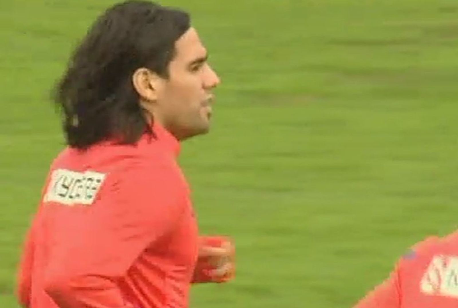 Falcao